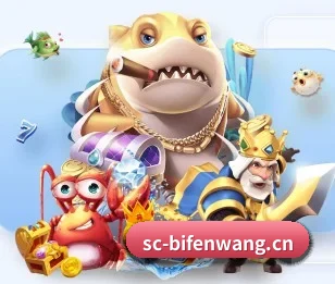 比分网的故事